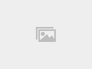 Academic Full Mock Tests